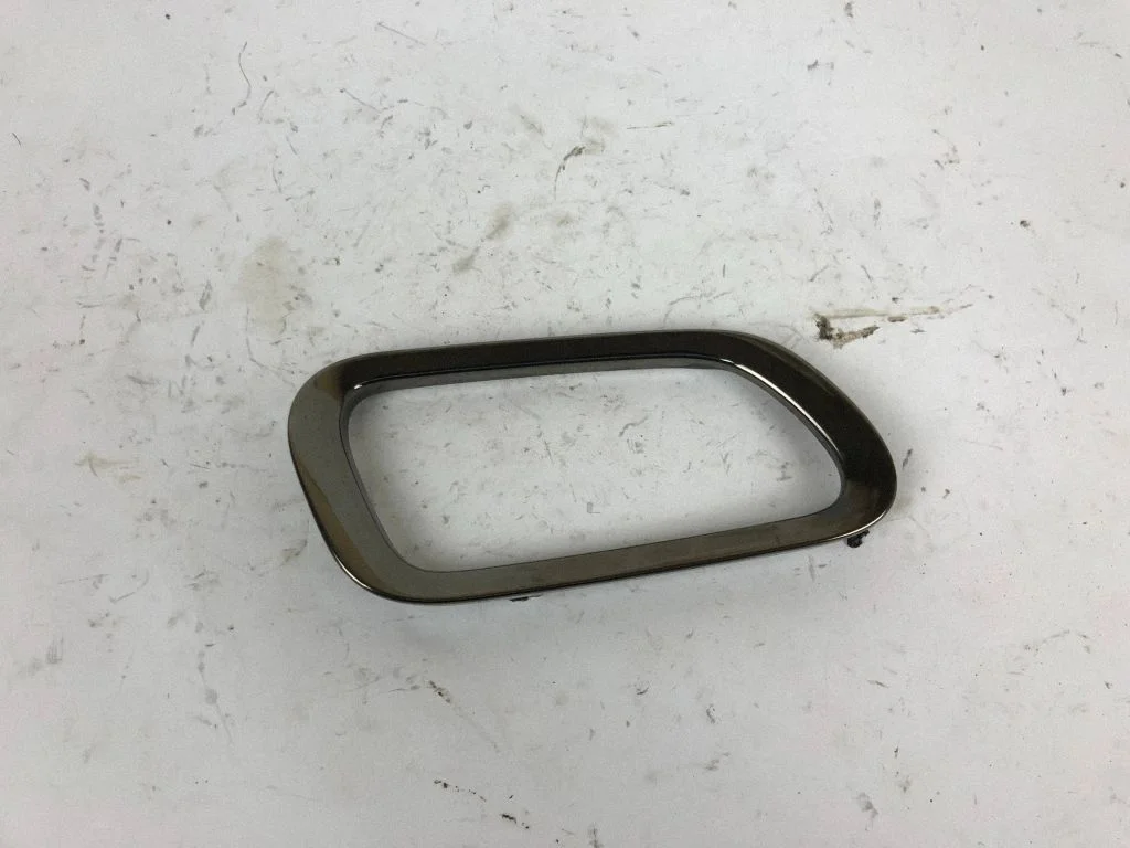 Other front door trim element 631C016