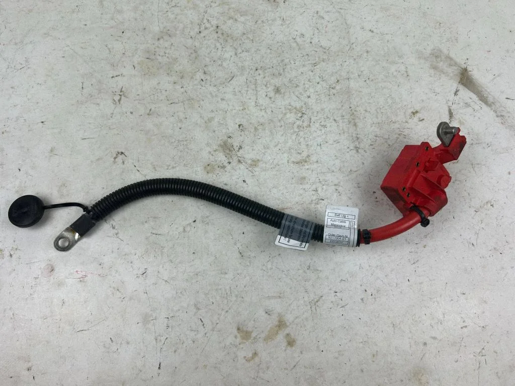 Positive wiring loom 9217004