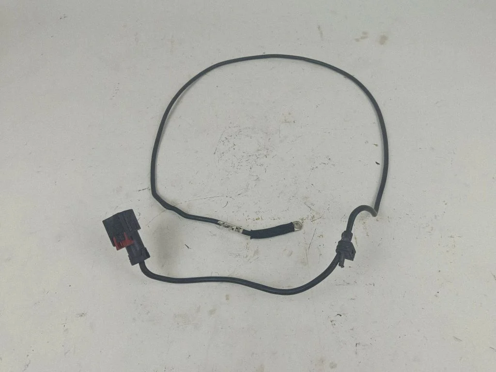 Positive wiring loom 9296981