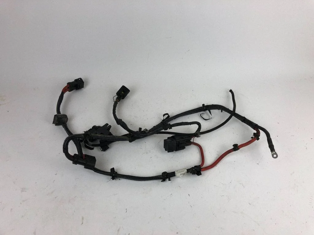 Positive wiring loom