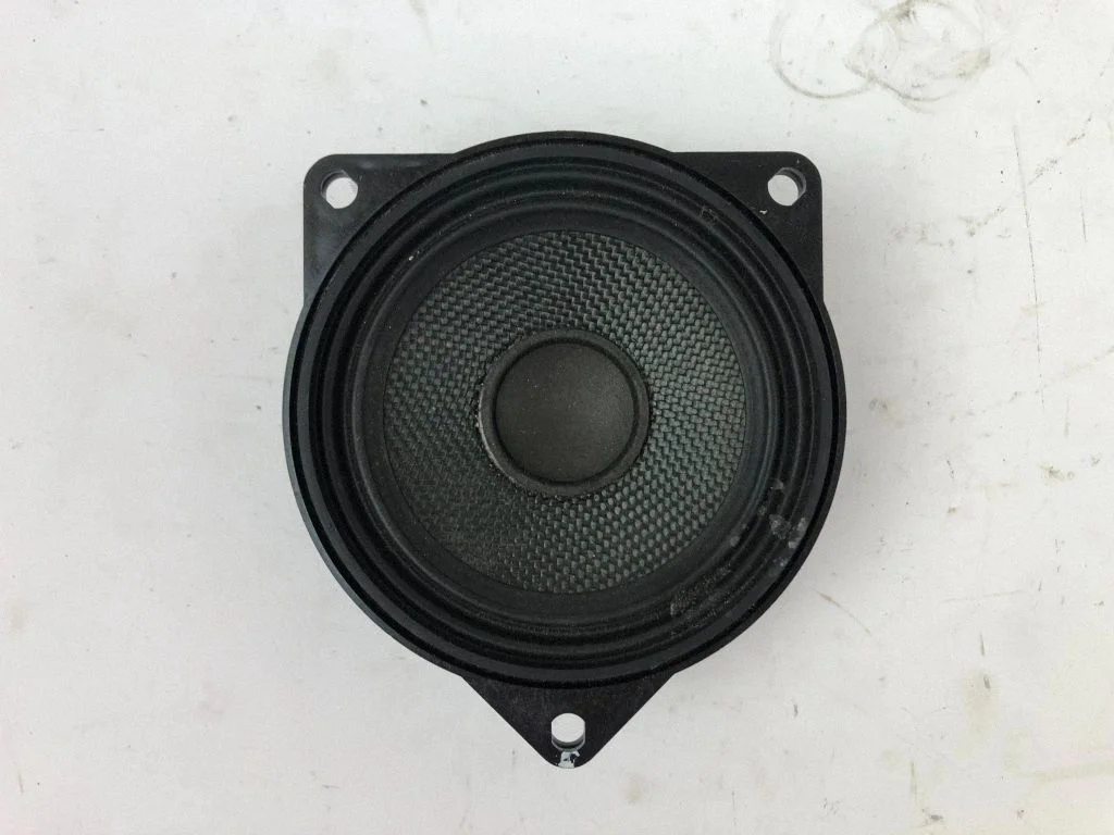 Front door speaker 9141501