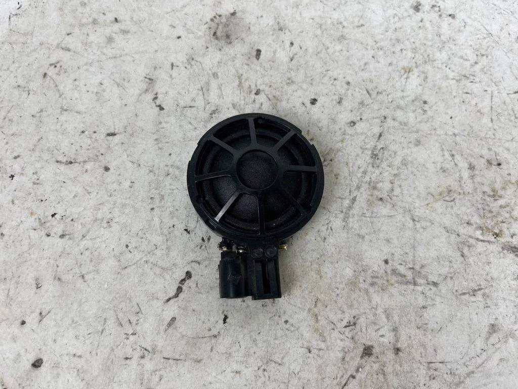 Rear door speaker 100483300A