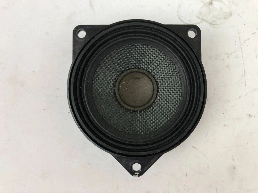 Rear door speaker 9141501