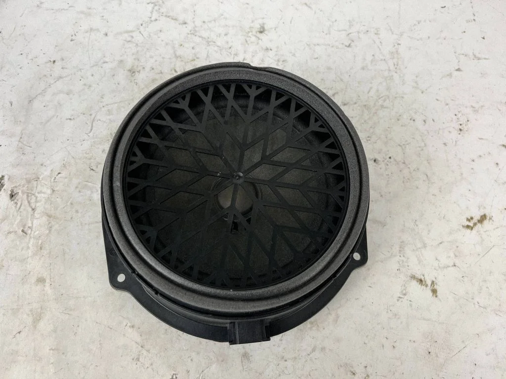 Rear door speaker