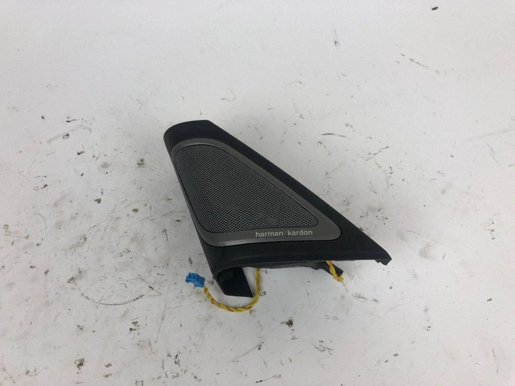 Front door high frequency speaker 2582485