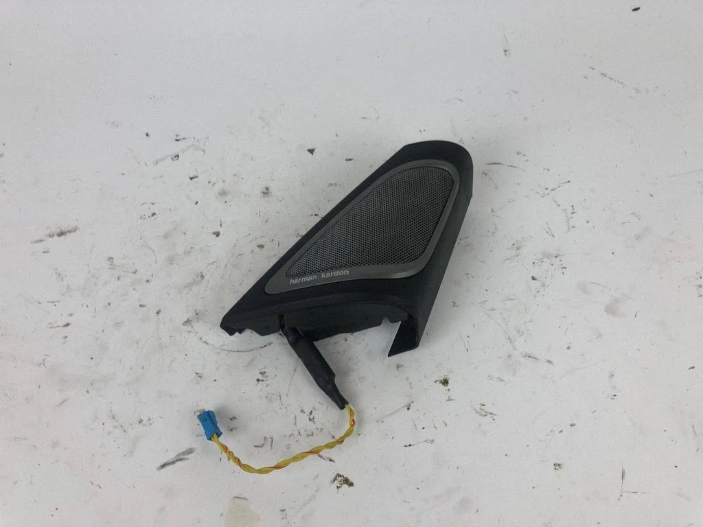 Front door high frequency speaker 2582486