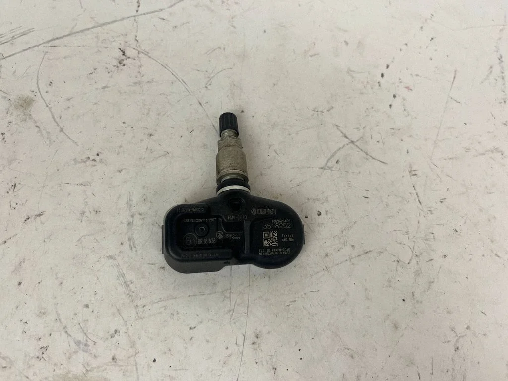 Tire pressure sensor R010100029