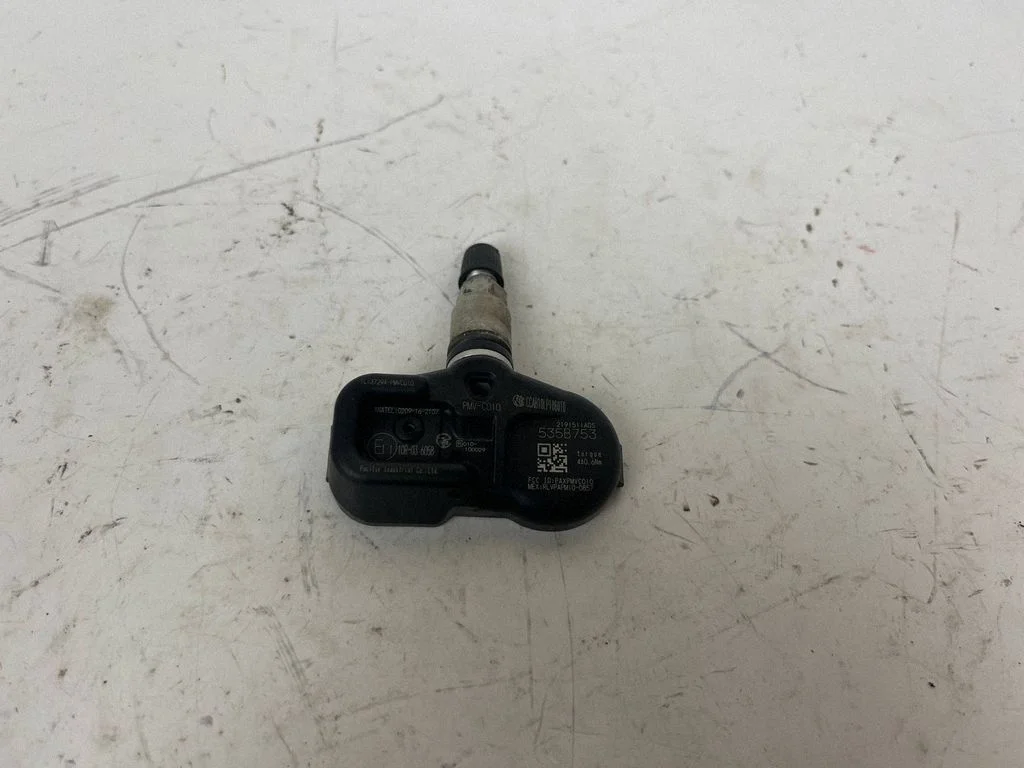 Tire pressure sensor R010100029