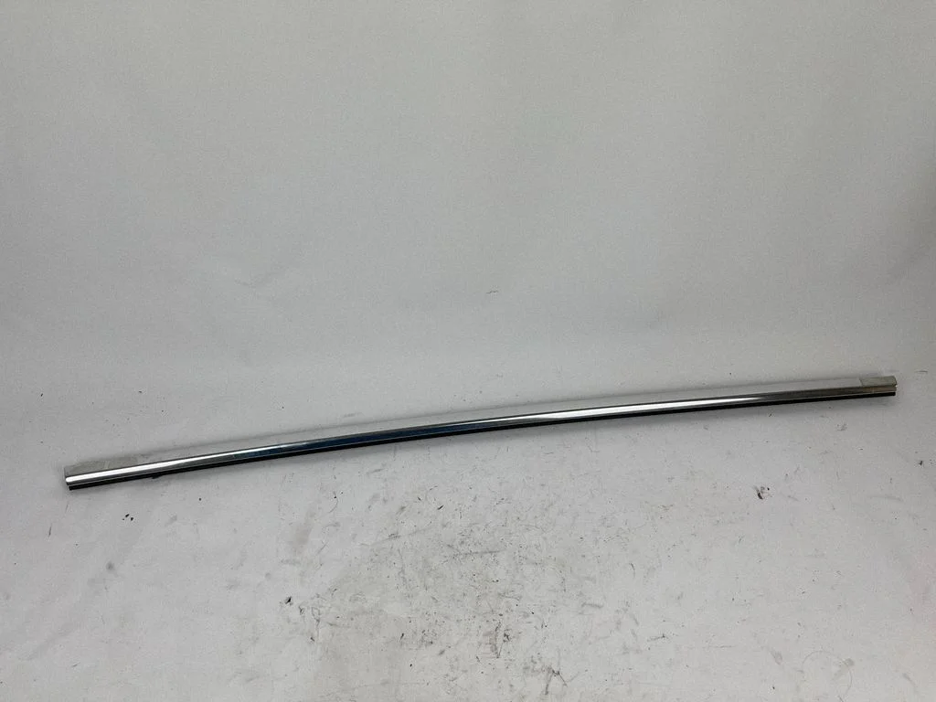 Rear door glass trim molding