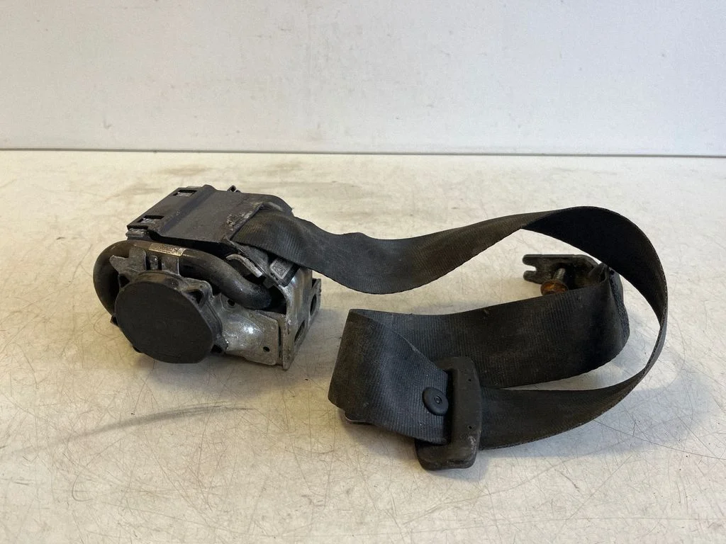 Tagumine turvavöö 31462756