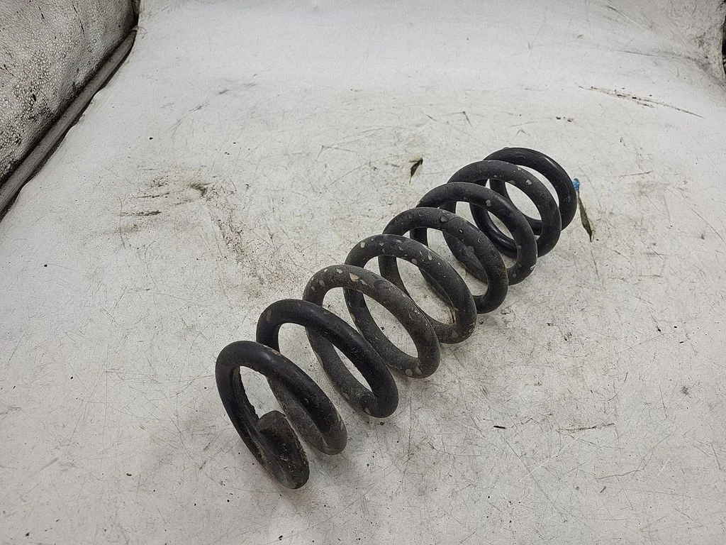 Rear coil spring