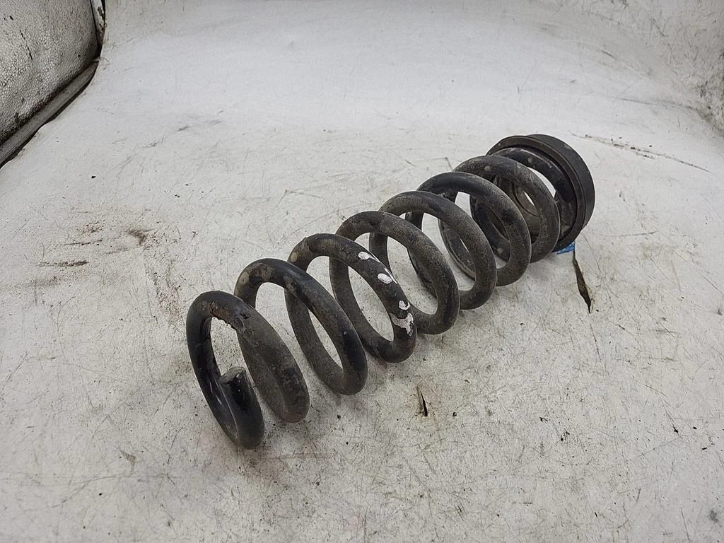 Rear coil spring