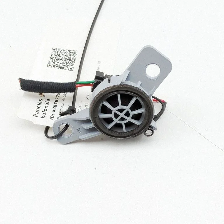 Skaļrunis (-ņi) priekšējās durvīs 96311G5100