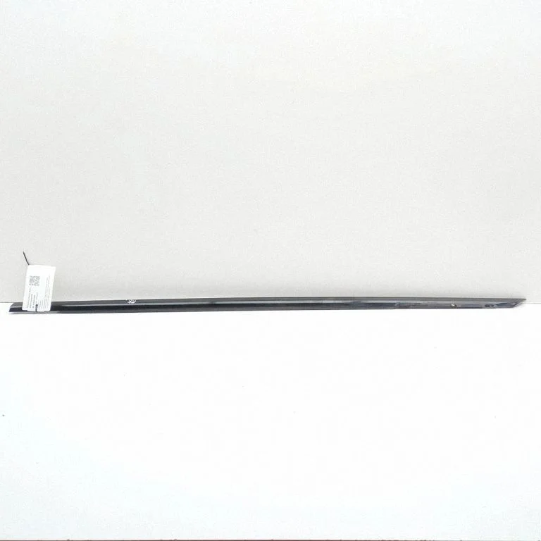 Front door glass trim molding LR043751