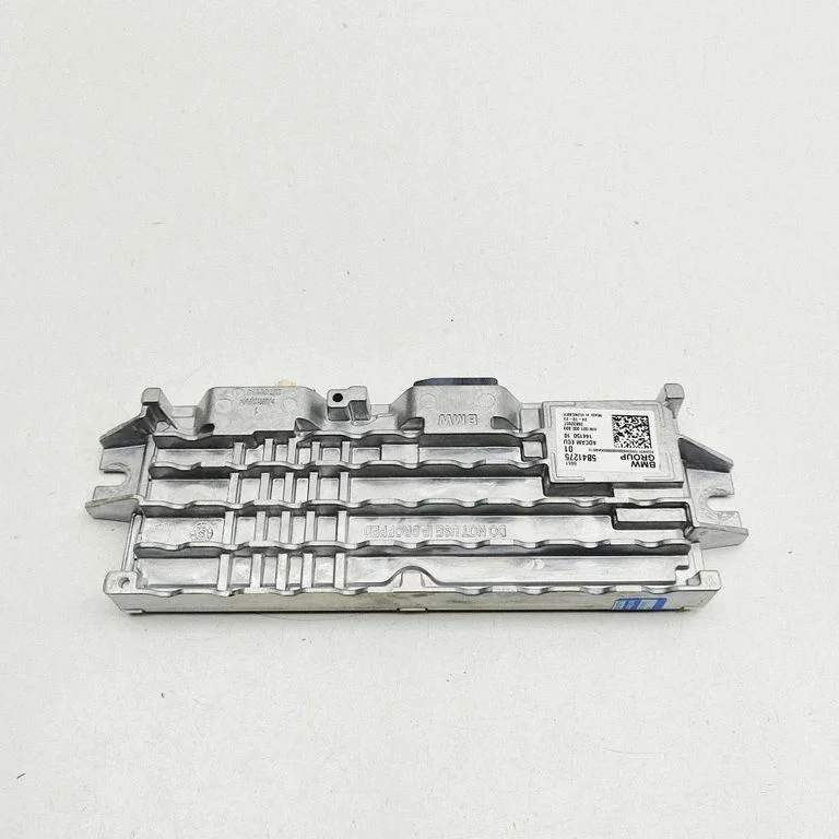 Vaizdo (VIDEO) modulis