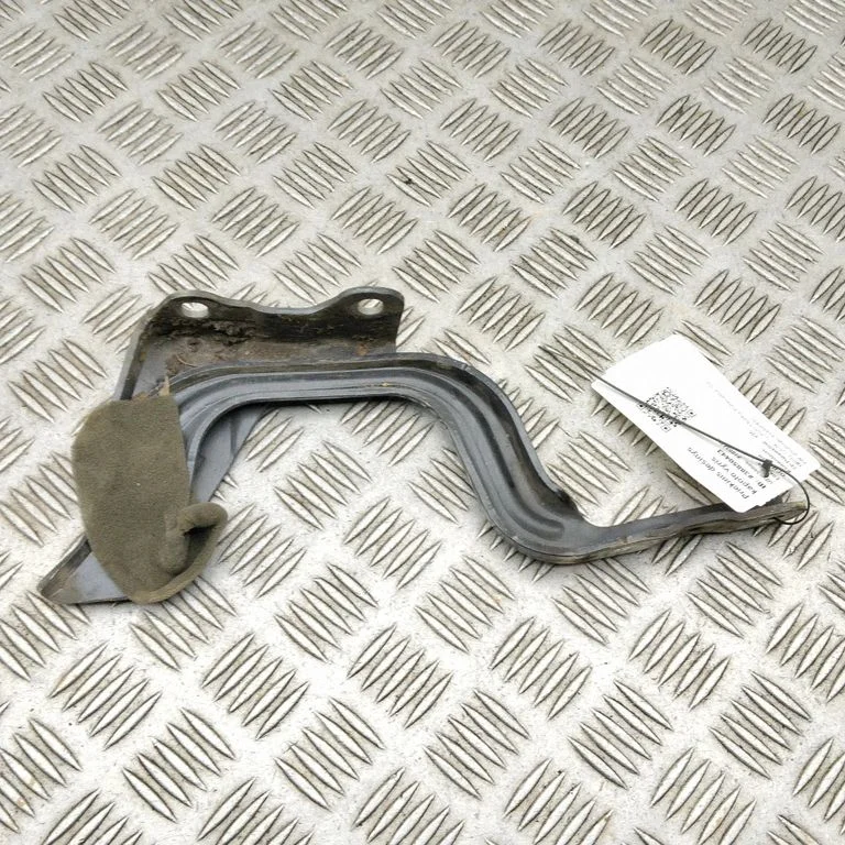 Engine bonnet/hood hinges 79120G5000