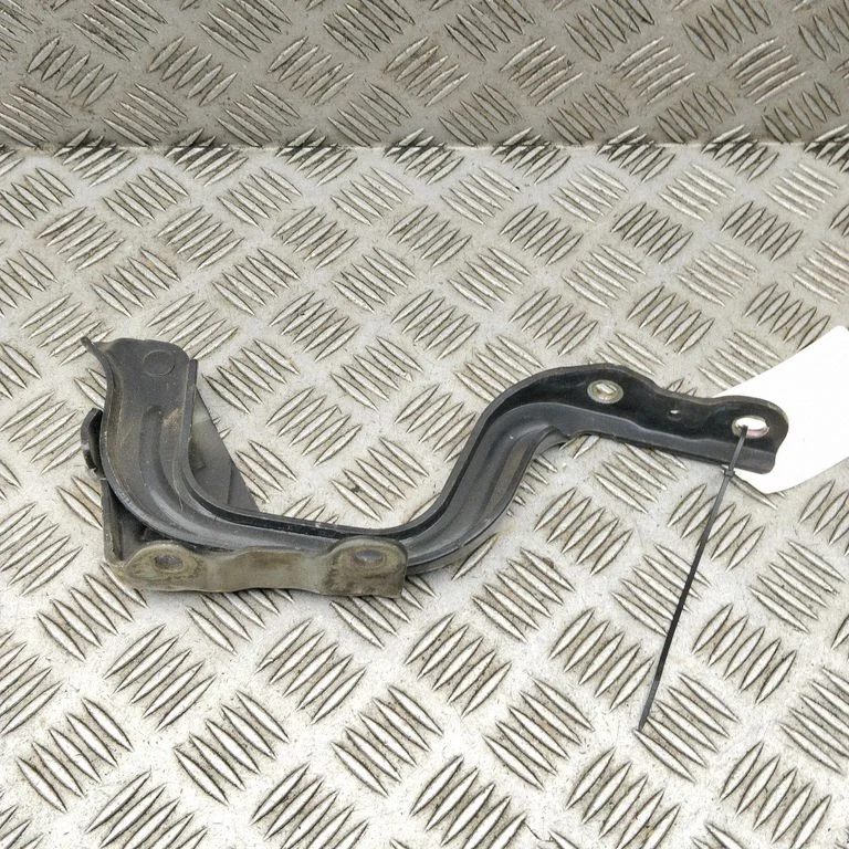 Engine bonnet/hood hinges 79110G5000