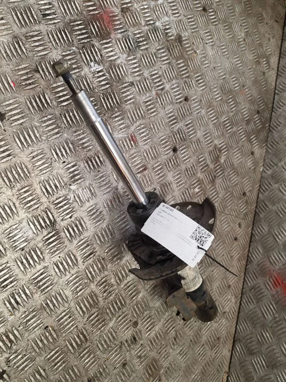 Front shock absorber/damper 1234