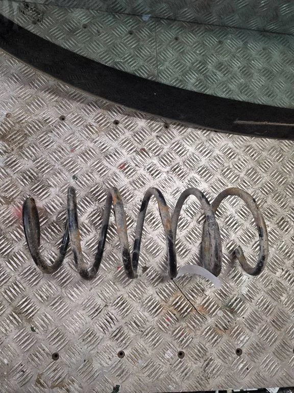 Front coil spring 1234