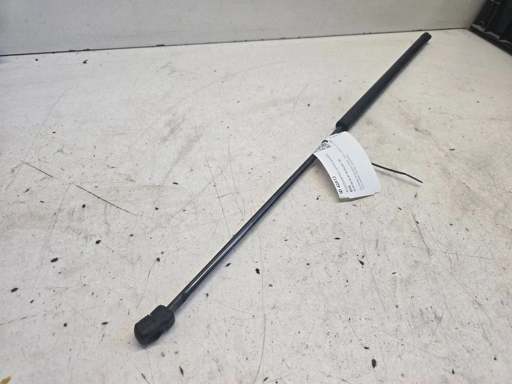 Mootorikapoti amortisaator – Audi A4 S4 B7 8E 8H (2005-2008)