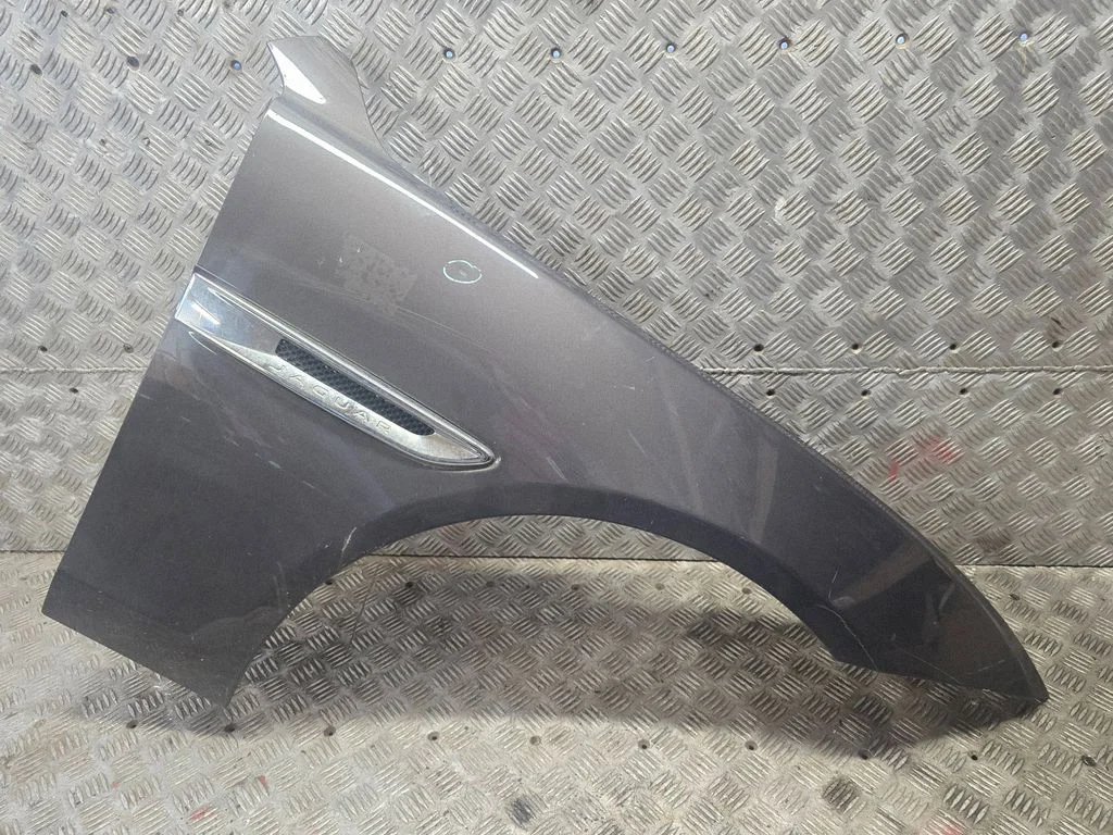 Fender 1234