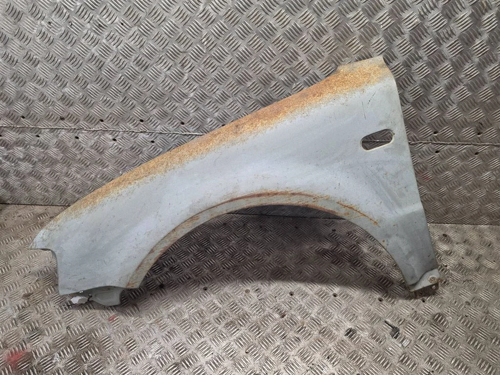 Fender 1234
