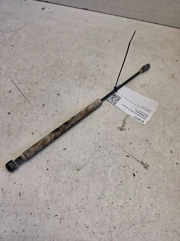 Tailgate/trunk strut/damper