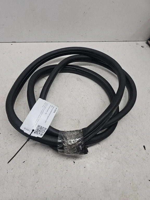 Rear door rubber seal (on body) 1234