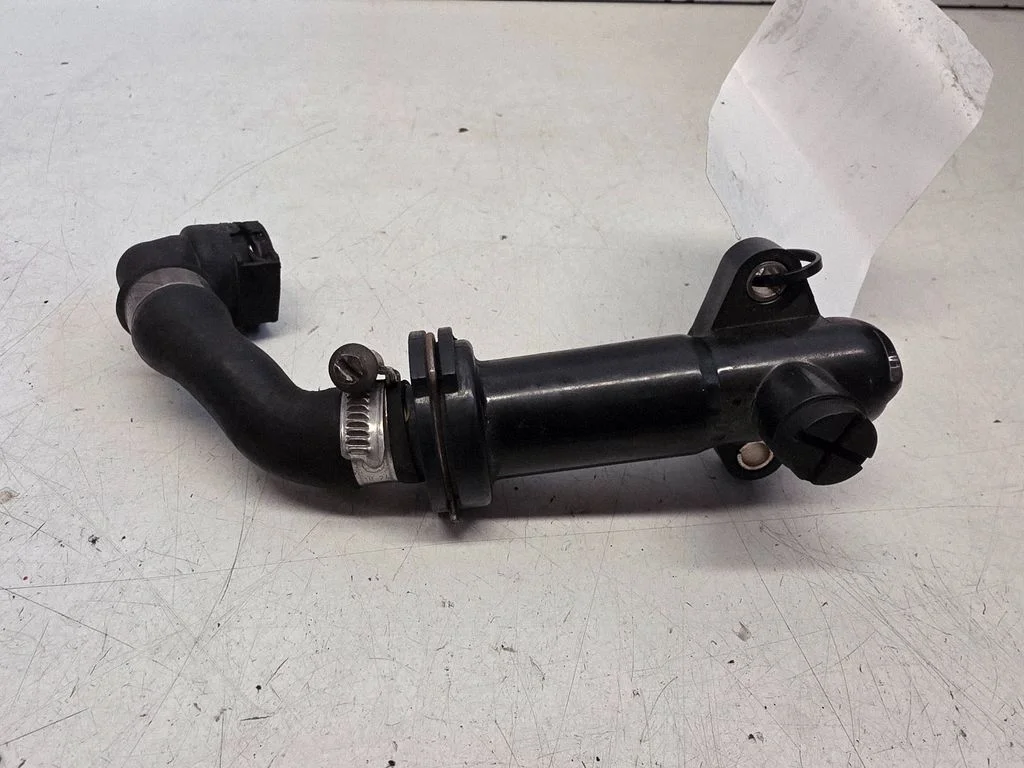 EGR termostatas