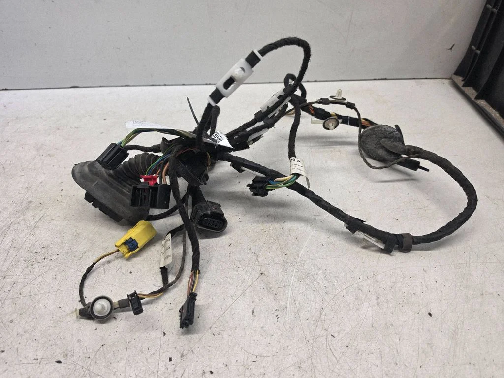 Front door wiring loom 4F1971029A