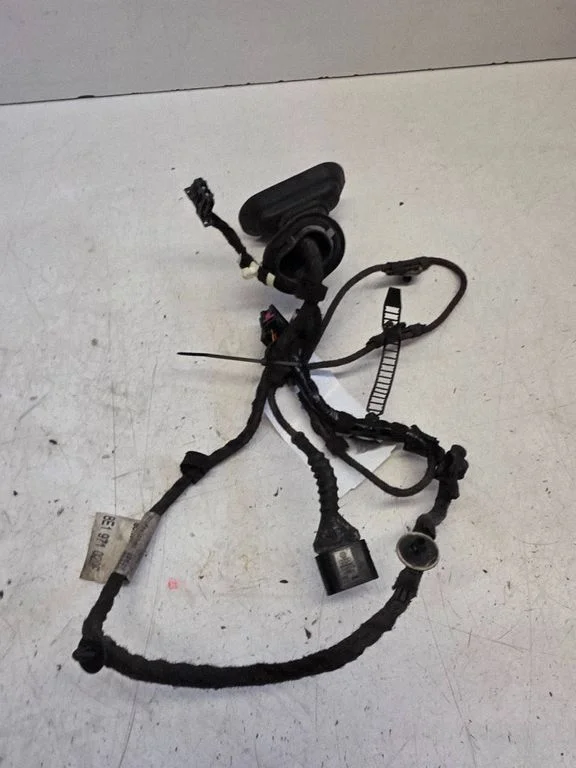 Front door wiring loom 8E1971029F
