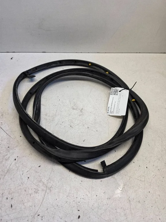Rubber seal rear door 1234