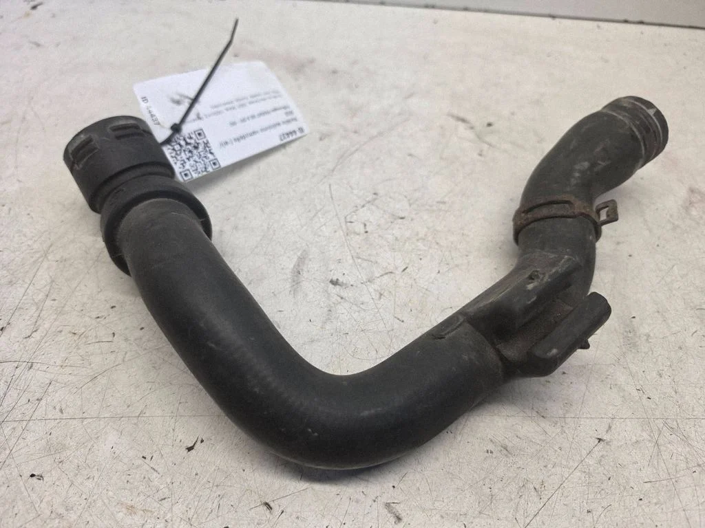 Engine coolant pipe/hose – Volkswagen Passat B5.5 (2001-2005)