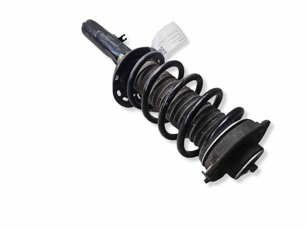 Front shock absorber/damper – left