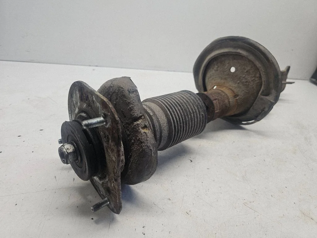Front shock absorber/damper 1234
