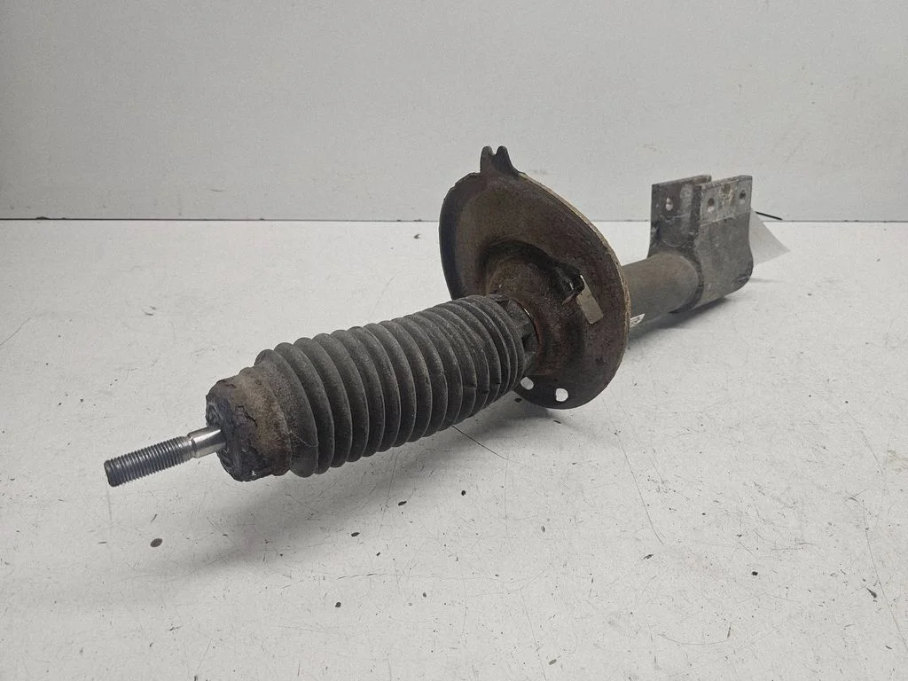 Front shock absorber/damper – left