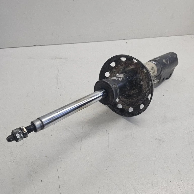 Front shock absorber/damper – left