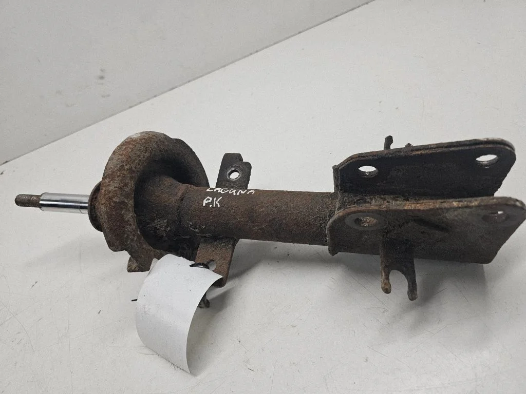 Front shock absorber/damper – left
