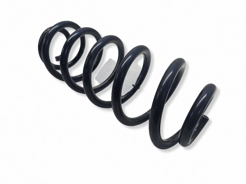 Rear coil spring