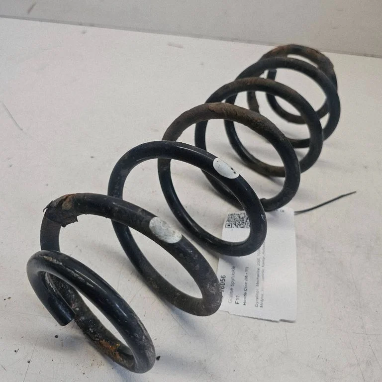 Rear coil spring