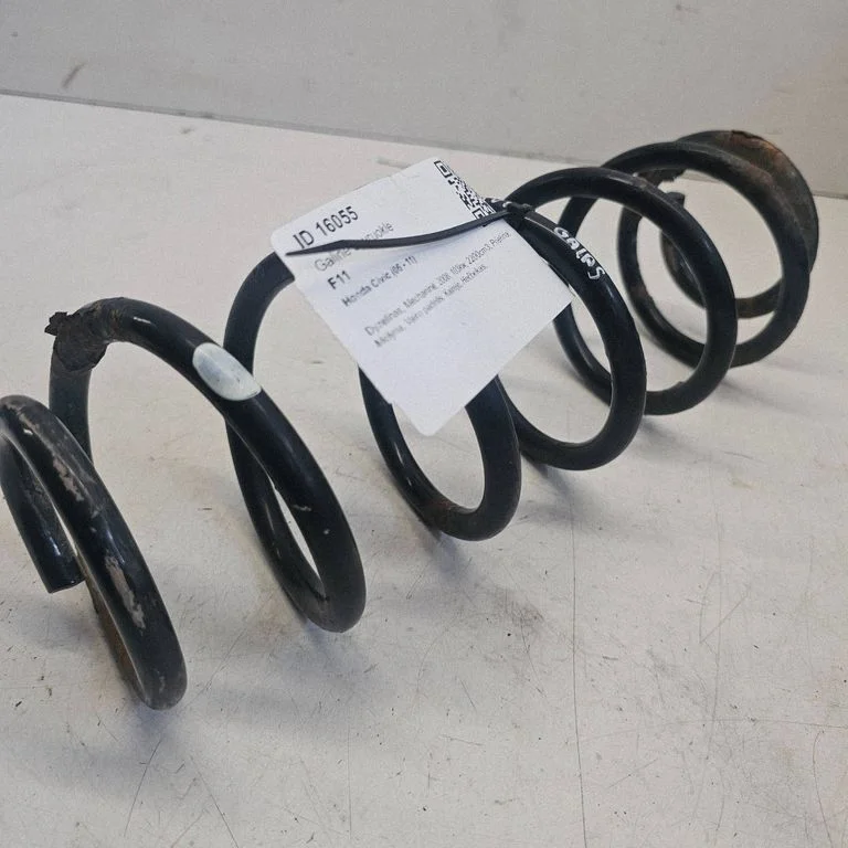 Rear coil spring