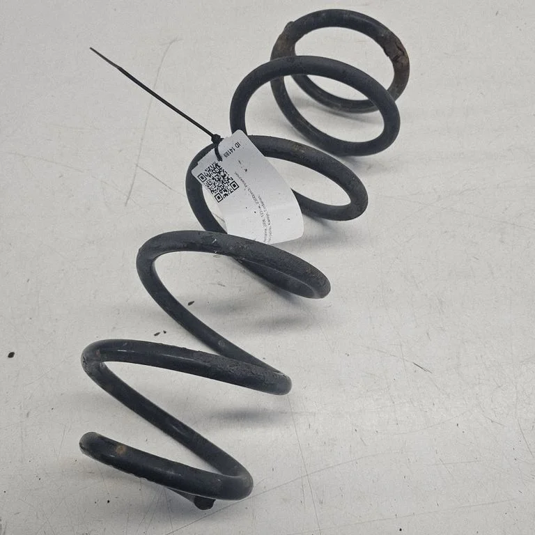 Rear coil spring