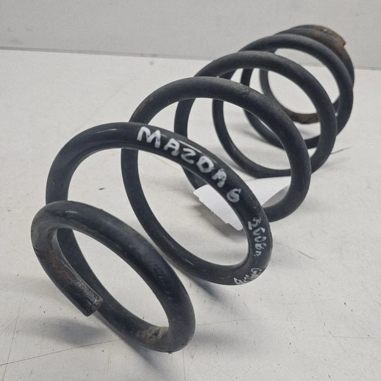 Rear coil spring