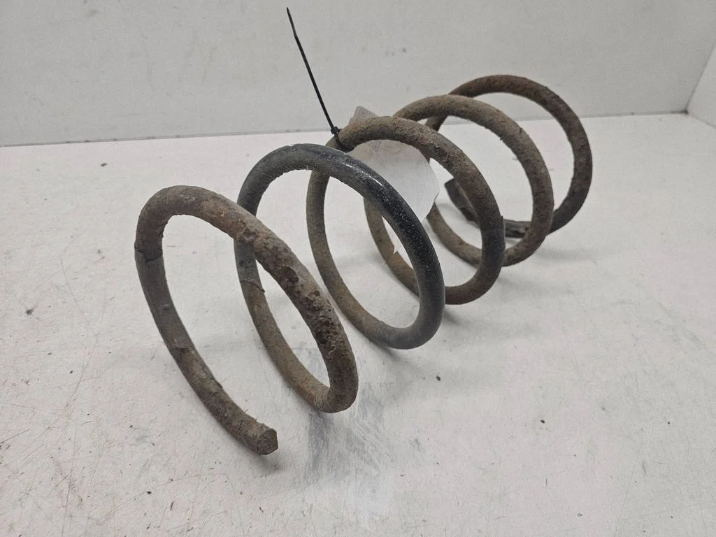 Rear coil spring 1234