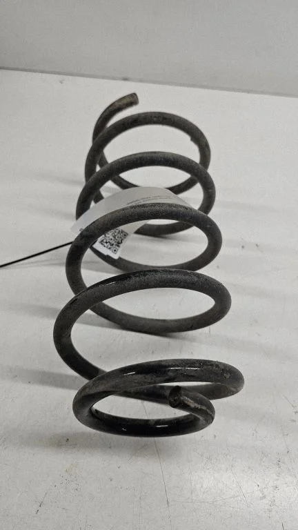 Rear coil spring