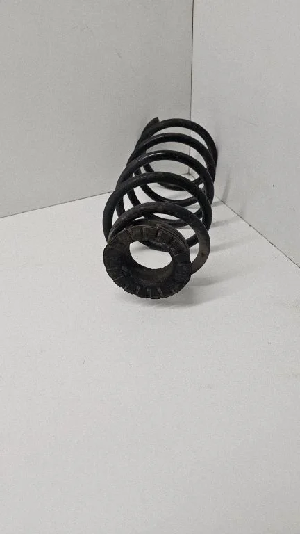 Rear coil spring