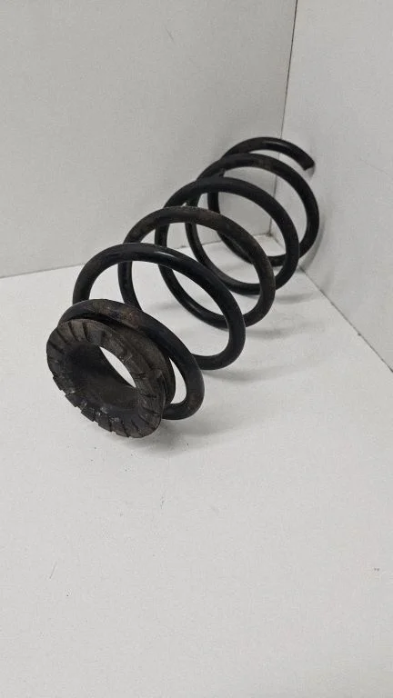 Rear coil spring