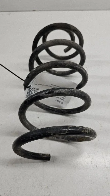 Rear coil spring