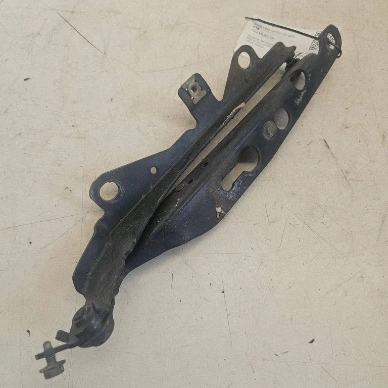 Engine bonnet/hood hinges – front left