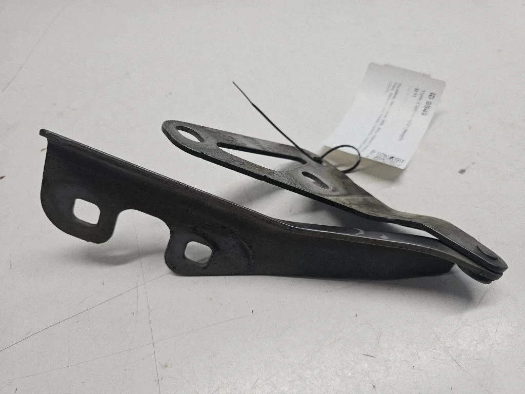 Vyris (-iai) variklio dangčio